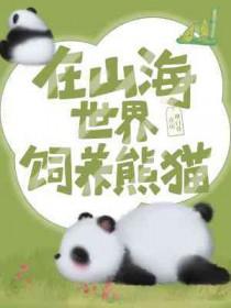 在山海世界饲养熊猫晋江