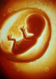 胎儿大小与孕周对照表