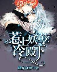惹上妖孽冷殿下字数