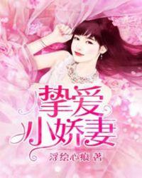 挚宠小逃妻全文免费阅读