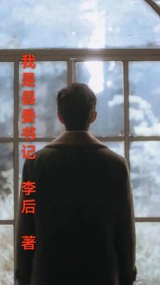 我是县委书记派来的代表