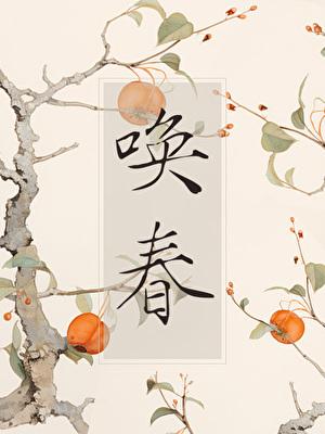 唤春昔在野讲的是什么