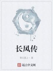 长风传奇沙藏宝阁怎么进