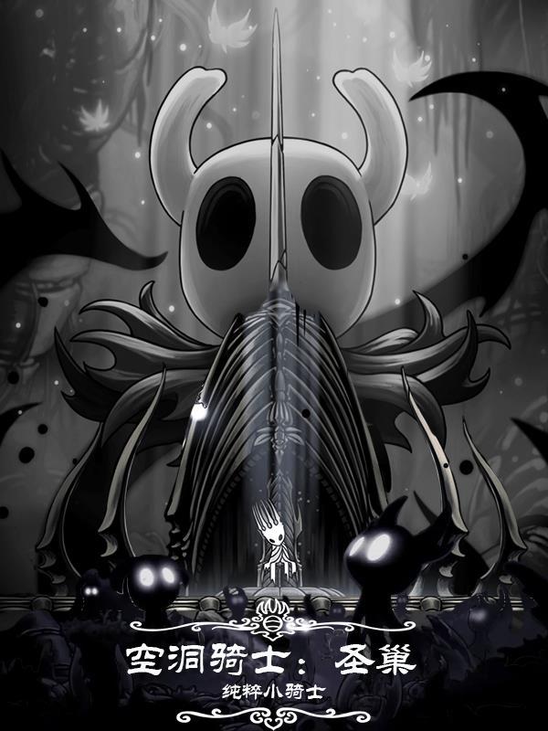 空洞骑士圣巢中心怎么过去